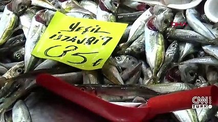 Tezgahlar dolu, balık alan yok