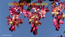 सतगुरुजी का भजन | Prem rawat bhajans | Satguruji apke charno me taqdir bante hai bhajans | Satguru maharaji bhajans | Guru maharaji bhajan