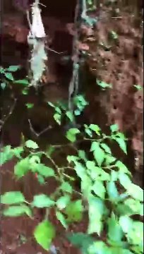 สืบเมืองคอนสนธิกำลังบุกจับมือปืนรับจ้างลำดับที่ 121 และ 124 ของ สตช.ได้คาสวนยาง-หลังก่อคดีสังหารตำรวจภาค 9 เสียชีวิตเมื่อปี 22560