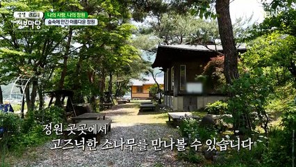 초여름의 향기가 물씬~나는 숲속 한가운데 온 것 같은 정원!
