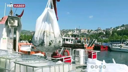 "Marmara Hepimizin" seferberliği sürüyor: Tonlarca müsilaj toplandı