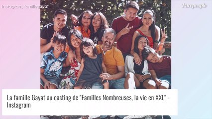 Descargar video: Familles nombreuses, la vie en XXL : Les Gayat cibles de cyberharcèlement, la justice saisie