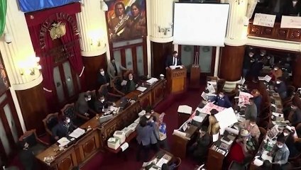 شاهد: برلمان بوليفيا يتحول إلى حلبة ملاكمة بين النواب