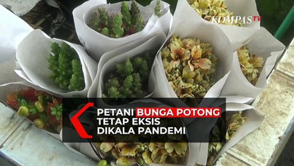 Sempat Merosot, Kini Penjualan Bunga Potong Mulai Stabil