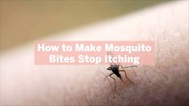 How to Make Mosquito Bites Stop Itching: 5 Treatments to Try-and 9 to Skip