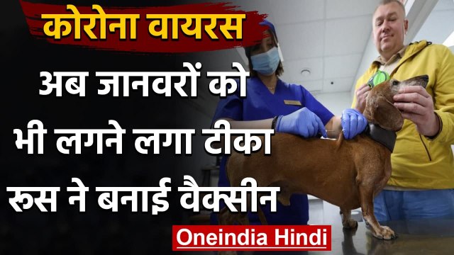 Corona Vaccination: Russia ने बनाई जानवरों के लिए दुनिया की पहली Corona Vaccine | वनइंडिया हिंदी