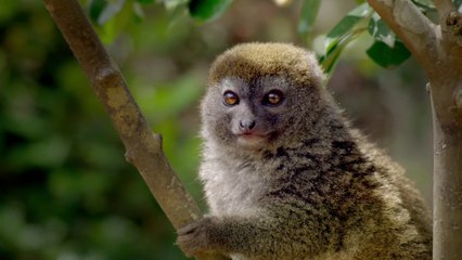 Earths Tropical Islands - Madagascar