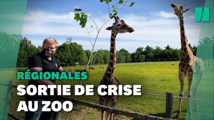Avant les régionales, on a suivi la "sortie de crise" de Nicolas, directeur de zoo en Nouvelle-Aquitaine