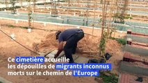 En Tunisie, un cimetière-jardin pour les migrants décédés