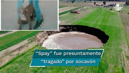 Cae perro pitbull en socavón de Puebla