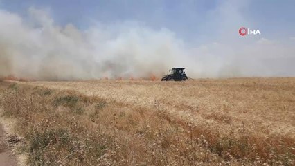 Araban'da 120 dönüm buğday tarlası yandı