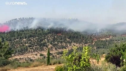 شاهد: حريق كبير يندلع قرب القدس والسلطات الإسرائيلية تجلي السكّان من عدة قرى
