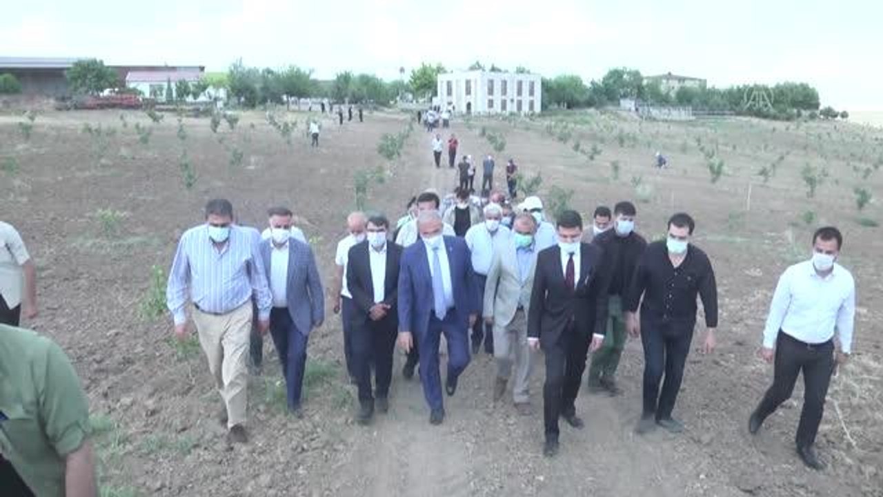 DİYARBAKIR - Sert kabuklu meyve üretimi artırılacak