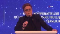 Bakan Derya Yanık, 'Kadın Kooperatifleri Güneydoğu Anadolu Buluşması'na katıldı