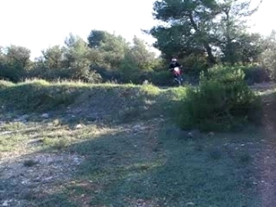 Téte guidon énorme