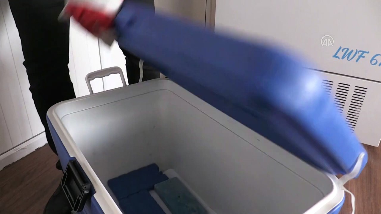 AYDIN - Aile sağlığı merkezlerinde BioNTech aşı...