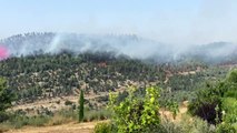 Incêndio força evacuação de aldeias em Israel