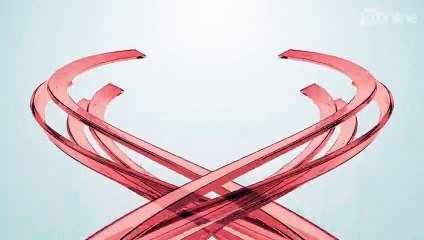 PRF apreende mais de uma tonelada de maconha em Nova Esperança