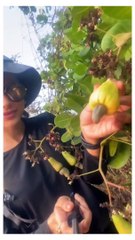 Rakul preth Singh on Instagram_ _There is no Wifi in the forest_ but I promise you will find a better connection. Come along with me on this episode 4 of Chronicles of__(MP4)