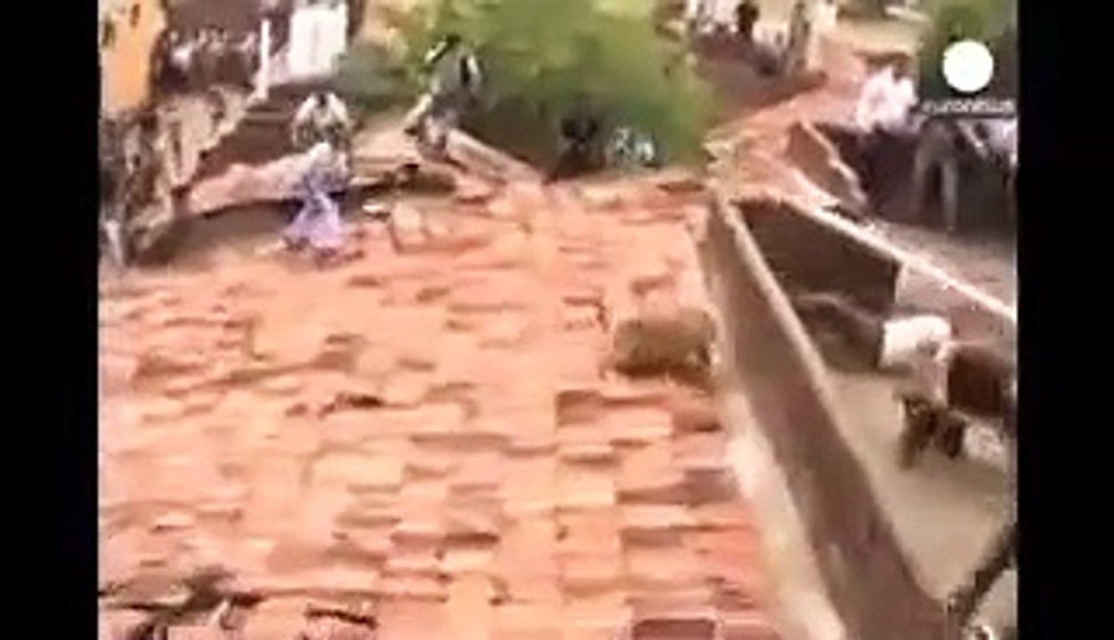 Leopar insanlara saldırıyor! İşte dehşet anları...