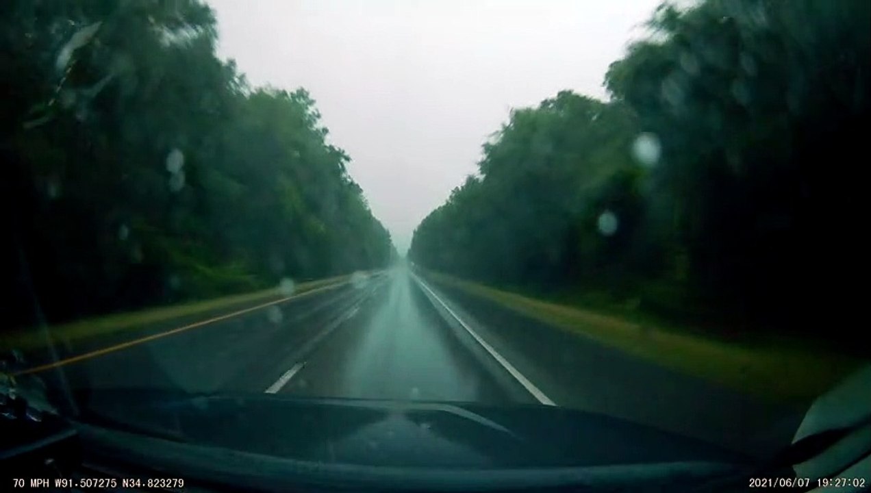 Tree Falls over Slick Highway