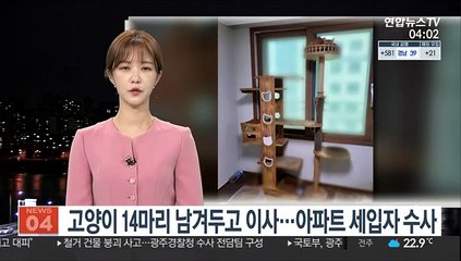 고양이 14마리 남겨두고 이사…아파트 세입자 수사