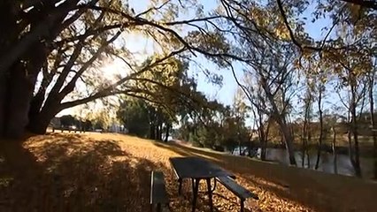 Queanbeyan's artistic soul lays bare