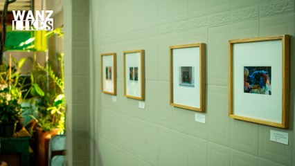 Servidor Local | Exposición "Negocio Local"