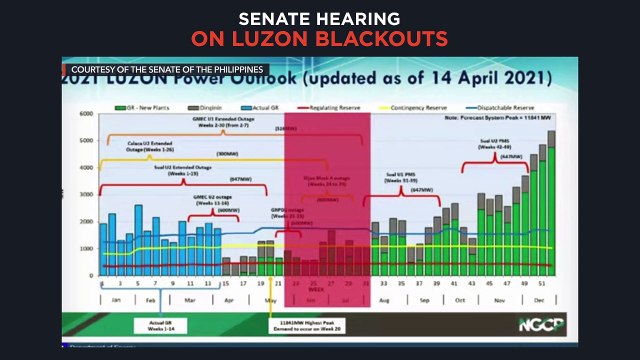 Senate hearing on Luzon blackouts