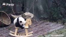 好好在幼儿园里面待着