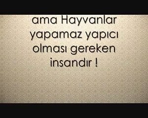 "İstanbul'u cehenneme çevirdiler! Ben şikayetçiyim ya Rabbi..."