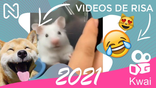 Si Te RÍES PIERDES NIVEL: Shitposting. LO MEJOR DE KWAI JUNIO 2021.