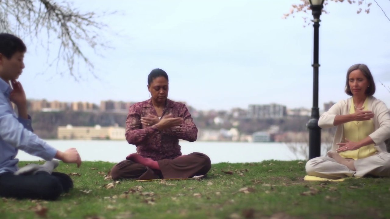 What is Falun Gong (Falun Dafa)?