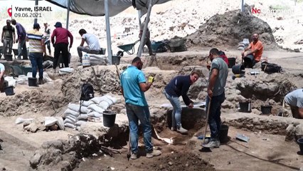 Unglaublicher Fund: 1.000 Jahre altes Hühnerei entdeckt