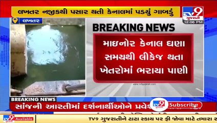 Minor canal breached in Lakhtar, crops destroy  _ Surendranagar _ Tv9GujaratiNews