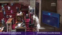 Bioéthique et PMA pour toutes: l'Assemblée nationale adopte le projet de loi pour la troisième fois