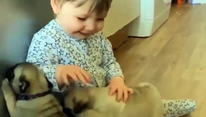 Cute Kid Playing with Dog Naughty Kids playing with Dog Funny Kid Playing with Dog
