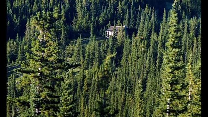 LAND - Official Trailer [HD] -