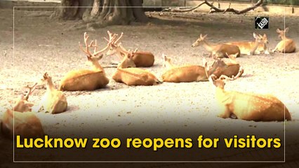 Covid-19: Lucknow zoo reopens for visitors