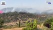 Firefighting plane battles blaze near Jerusalem