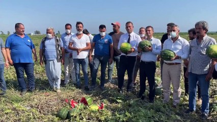 CHP'li Başarır, karpuz üreticileri ile birlikte Erdoğan'a seslendi: Sen Demirören’i düşünme, o çok zengin, çiftçiyi, köylüyü düşün