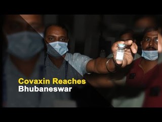 After Covishield, Covaxin Reaches Bhubaneswar | OTV News