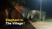 Elephant Strays Into Odisha Village Leaving Residents In Disarray | OTV News