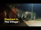 Elephant Strays Into Odisha Village Leaving Residents In Disarray | OTV News