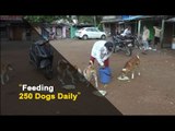 Animal Lover from Odisha Turns Saviour For Stray Dogs | OTV News