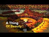 Annual Flower Show Kicks Off In Bhubaneswar | OTV News