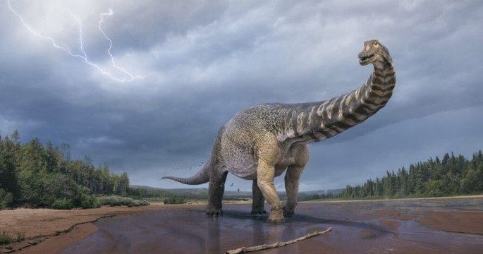 Une nouvelle espèce de dinosaure, l'un des plus grands au monde, a été identifiée en Australie