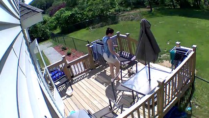 Doggy Needs to Be Dragged in From Sunbathing