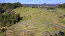 اليابان.. قانون لحماية أكثر من 600 منطقة تضم مدرّجات لحقول الأرز