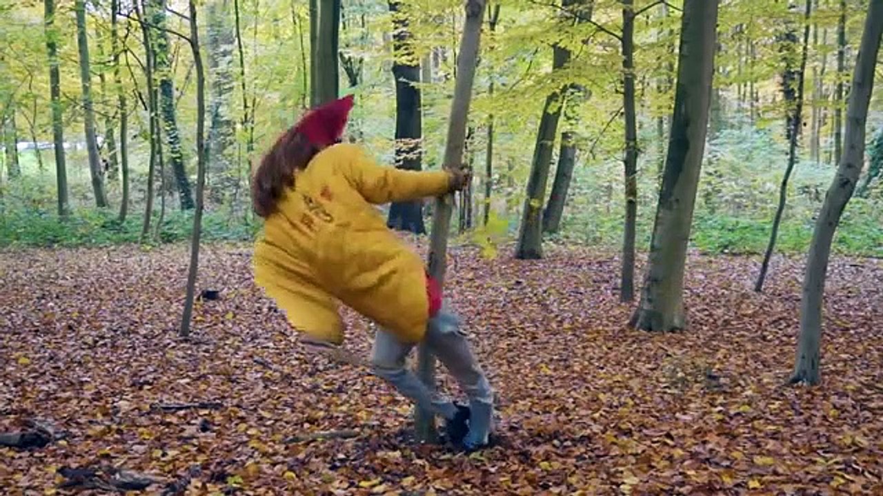 salut cest cool - bout de bois